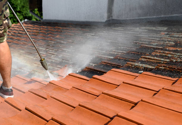 Best Roof Pressure Washing  in Boulder, MT